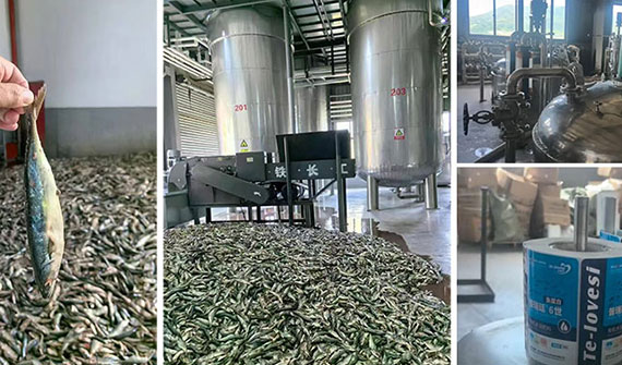 經(jīng)銷商必備，100%純魚蛋白肥燃炸市場(chǎng)！緩僵苗弱苗、改良土壤、抗寒抗旱抗逆全搞定！